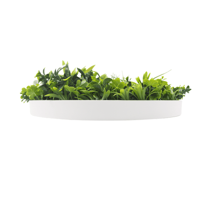 Artificial Green Wall Disc 30" White Frame UV Resistant