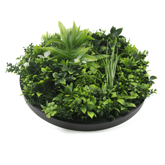 Artificial Green Wall Disc 30" Black Frame UV Resistant