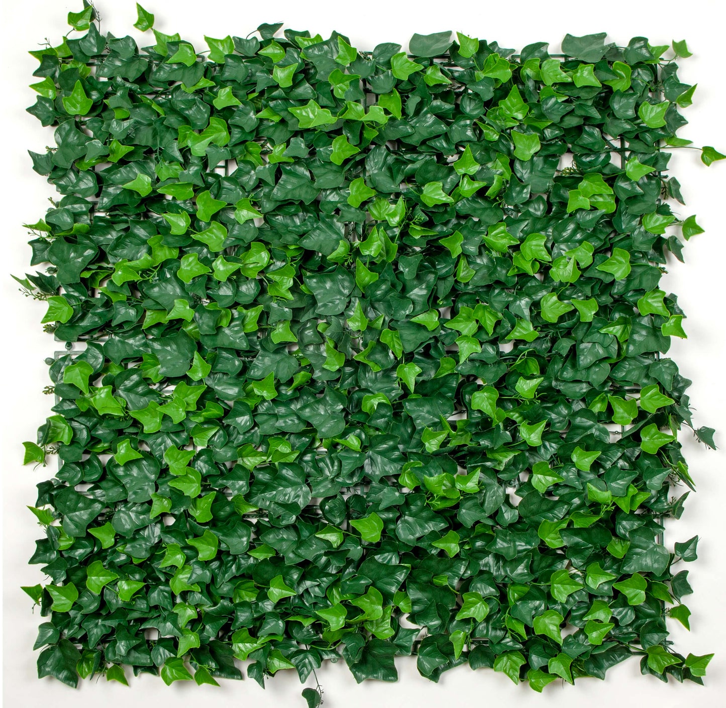 Artificial Boston Ivy Green Wall 33SQ FT UV Resistant