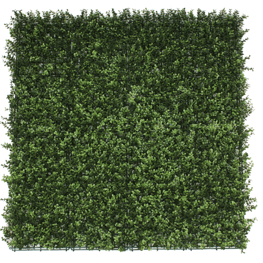 Natural Artificial Boxwood Wall 40" x 40" 11SQ FT UV Resistant