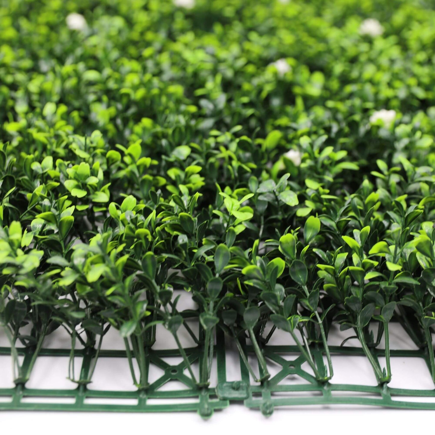 White Flowering Artificial Boxwood Wall 40" x 40" 11SQ FT