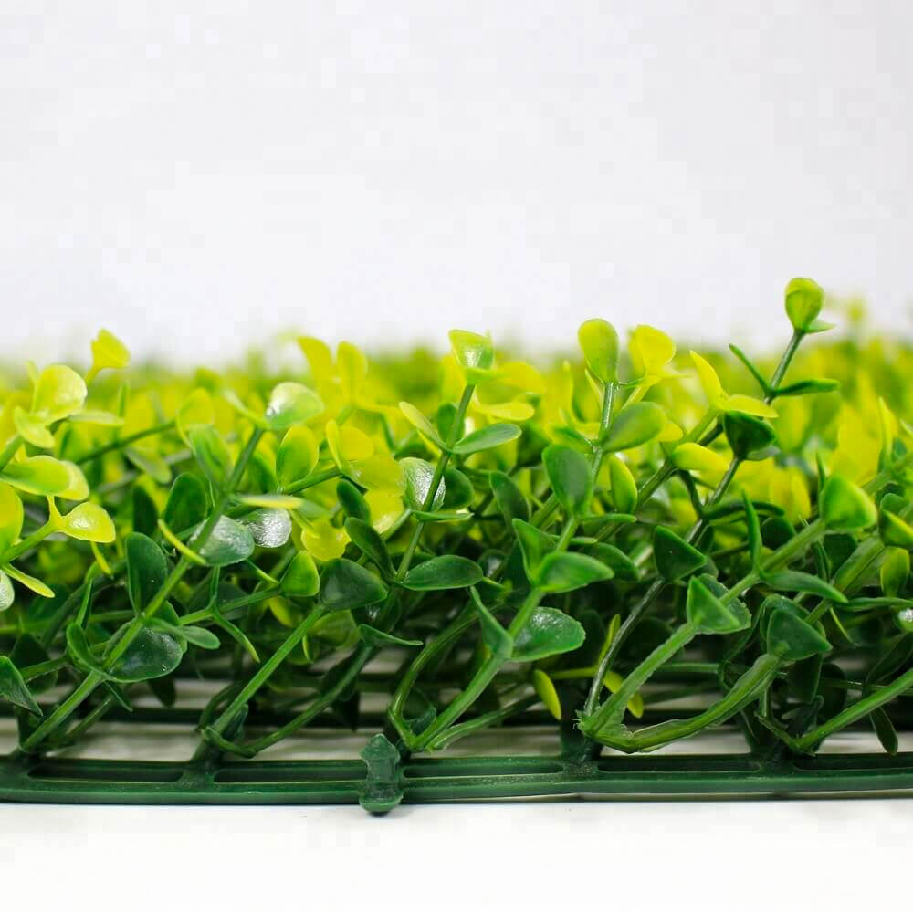 Yellow Buxus Green Wall 33 square foot UV Protected